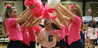 Dig For The Cure