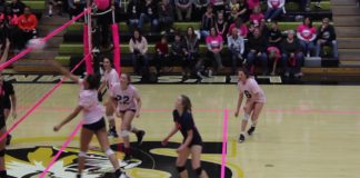 Titans Dig for the Cure